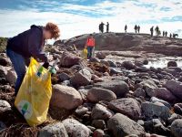 Самый загрязненный участок побережья Швеции назван