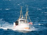 Исландские рыболовы приготовились к серьезным убыткам из-за российского эмбарго