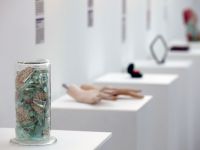 «Музей разбитых сердец» собирает экспонаты