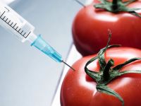 «Запрет» на запрет ГМО