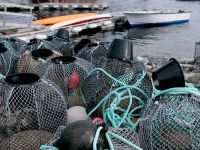Норвегия перейдет на био-рыбацкие сети