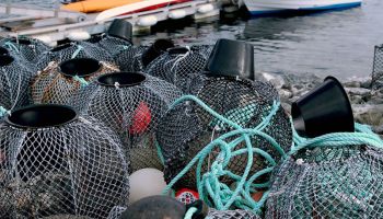 Норвегия перейдет на био-рыбацкие сети