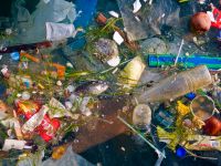 ЕС: под запрет самые популярные одноразовые пластиковые изделия