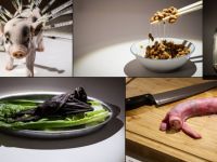 Швеция: в королевстве открылась выставка отвратительной еды