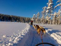 Финляндия: Лапландия бьет все рекорды по популярности