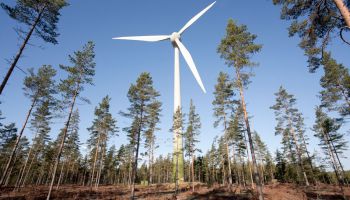 Финляндия: финны помогают россиянам строить ветропарк